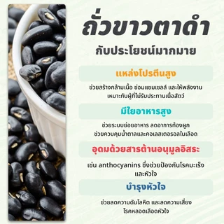 ถั่วดำ ขนาด 500 กรัม | Black Bean