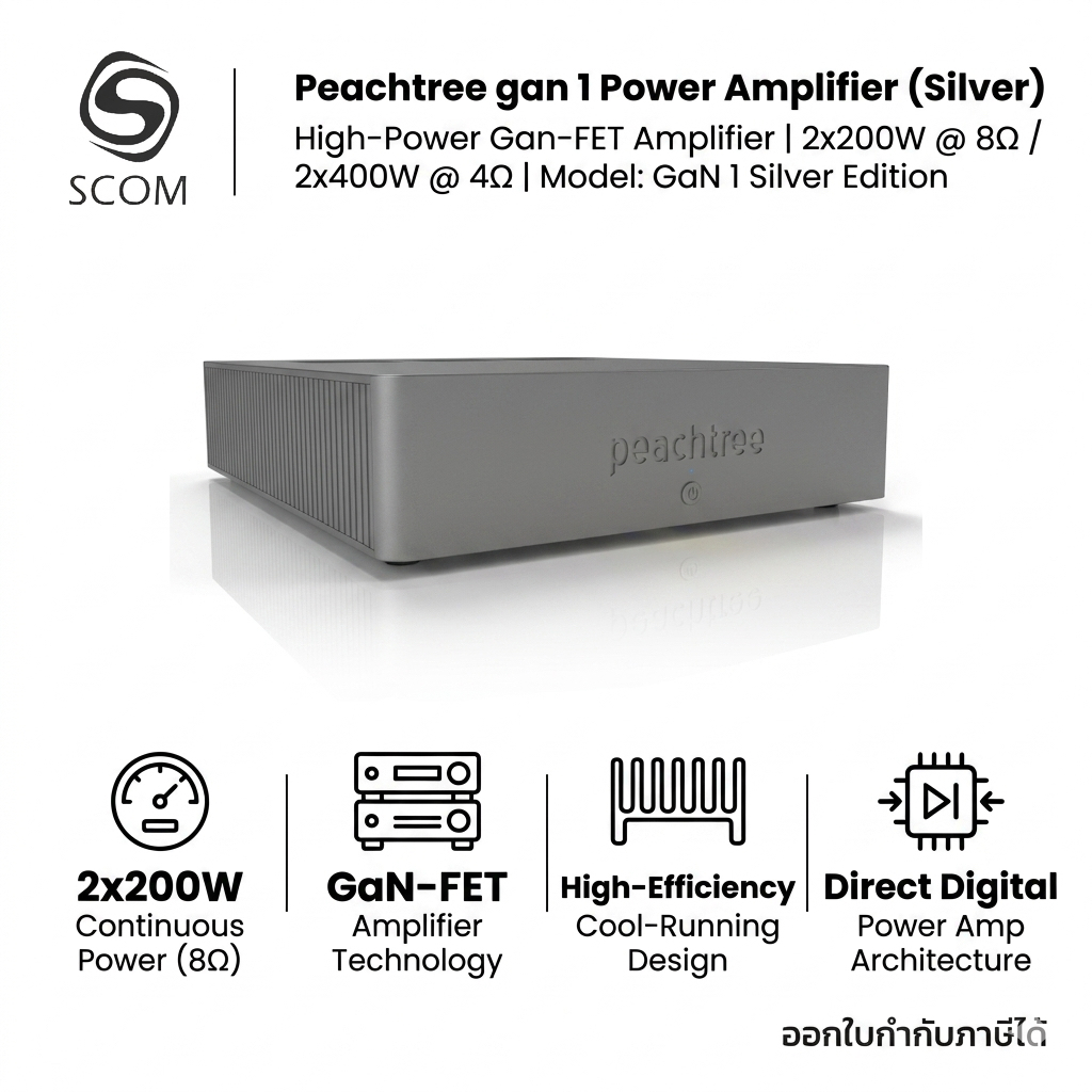 (AMP) PEACHTREE GAN 1 POWER AMP 200W*2