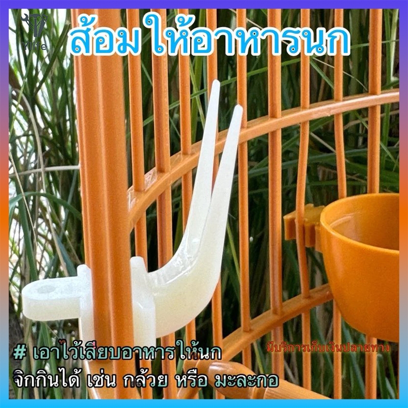 Ylife ส้อมให้อาหารนก เสียบอาหารให้นกจิกกิน เช่น กล้วย หรือ มะละกอ 1.8cm*2.8cm*3.6cm