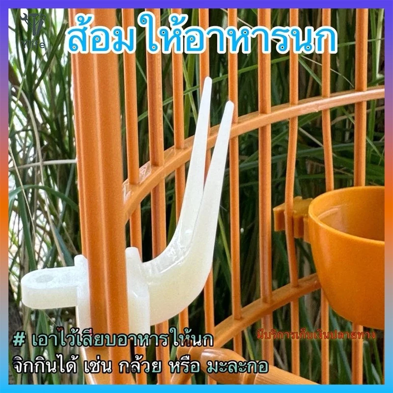 Ylife ส้อมให้อาหารนก เสียบอาหารให้นกจิกกิน เช่น กล้วย หรือ มะละกอ 1.8cm*2.8cm*3.6cm