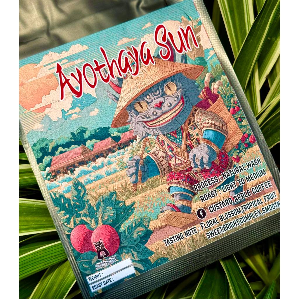เมล็ดกาแฟคั่วไทย Ayothaya Sun house blend
