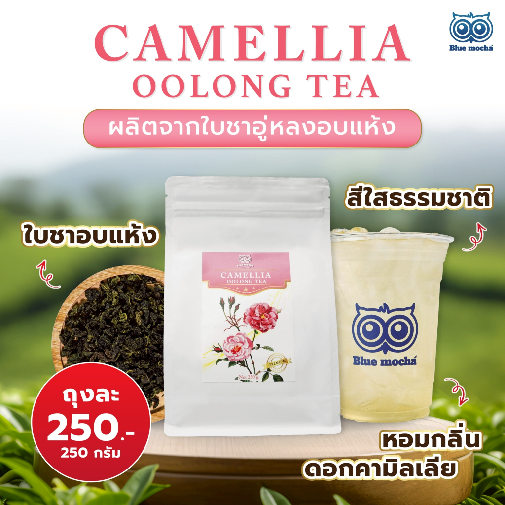 ชาอู่หลงกลิ่นคามีเลีย 250กรัม (Camellia Oolong) ราคา ถูกที่สุด ดีลบีเคเค รูปภาพหลัก
