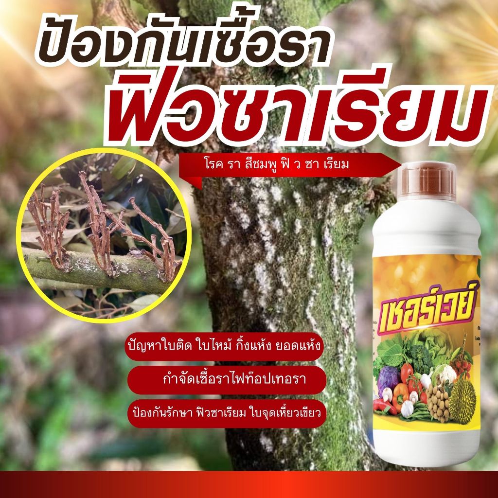 ฟิวซาเรียมป้องกันด้วย เซอร์เวย์ ป้องกันกำจัดเชื้อราพืช โรคใบไหม้ ใบจุด แก้เชื้อรา โรครากเน่า โคนเน่า กิ่งแห้ง ผิวสาก บำร – โปรปัง