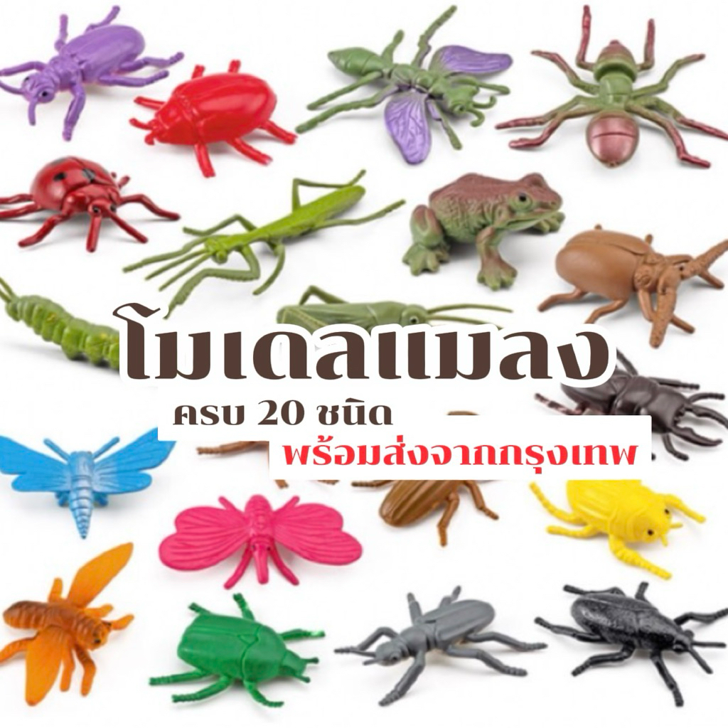 20 ชนิด 🪲🐞 โมเดลแมลง สุดคุ้ม🌈 เพื่อการเรียนรู้ Sensory Play Lookmaebaby