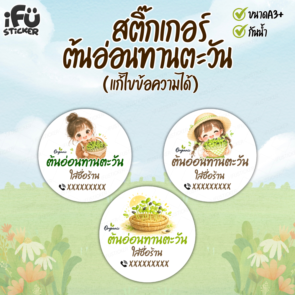 สติ๊กเกอร์ต้นอ่อนทานตะวัน (เปลี่ยนข้อความได้) กันน้ำ