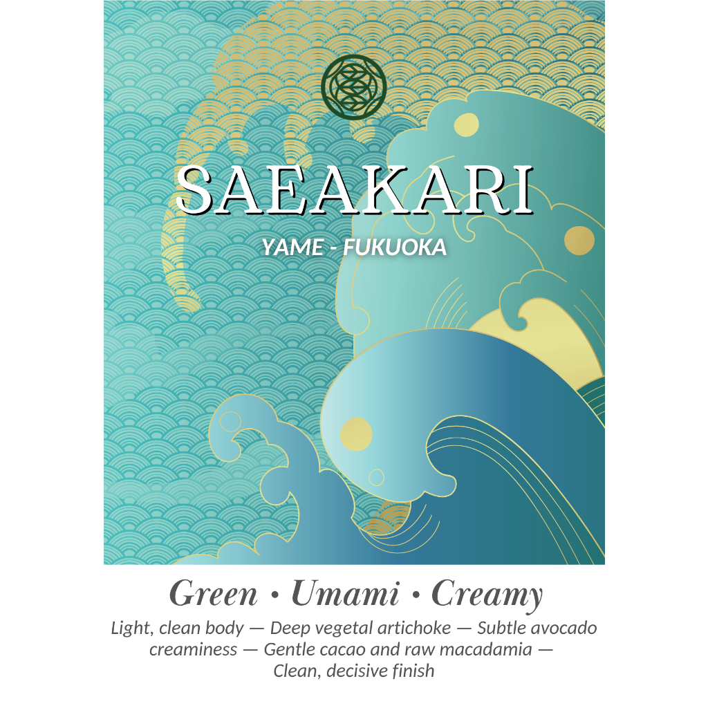 Yame - Saeakari  : Ceremonial grade matcha 100% : Single cultivar