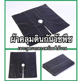 [พิเศษสำหรับไม้ผล] ผ้าป้องกันวัชพืชเจาะรู ผ้าป้องกันวัชพืช พลาสติกคลุมดิน ผ้าคลุมหญ้า พลาสติกคลุมวัชพืช กําจัดวัชพืช