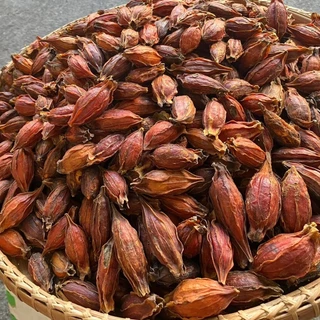 เม็ดพุดจีน 500 กรัม จุยกีจี้ เม็ดทำสีเก๊กฮวย เม็ดทำสี