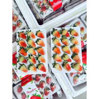 ส่งด่วน 4 ชม. สตอเบอร์รี่จีน สตอเบอร์รี่นำเข้าจากประเทศจีน แพ็คละ 15 ลูก หวานอมเปรี้ยว น้ำหนัก 350 กรัม ตู้ใหม่ สวย สด