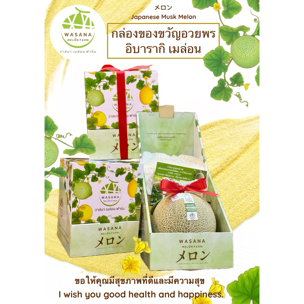 อิบารากิ เมล่อน ในกล่องของขวัญอวยพร ibaraki melon