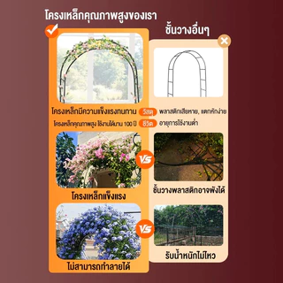 ซุ้มไม้เลื้อย ซุ้มกุหลาบ 240*140*38cm โครงเหล็กแข็งแรง ติดตั้งง่าย ซุ้มถอดออกได้ ของแต่งสวน ซุ้มงานแต่ง ชั้นวางดอกไม