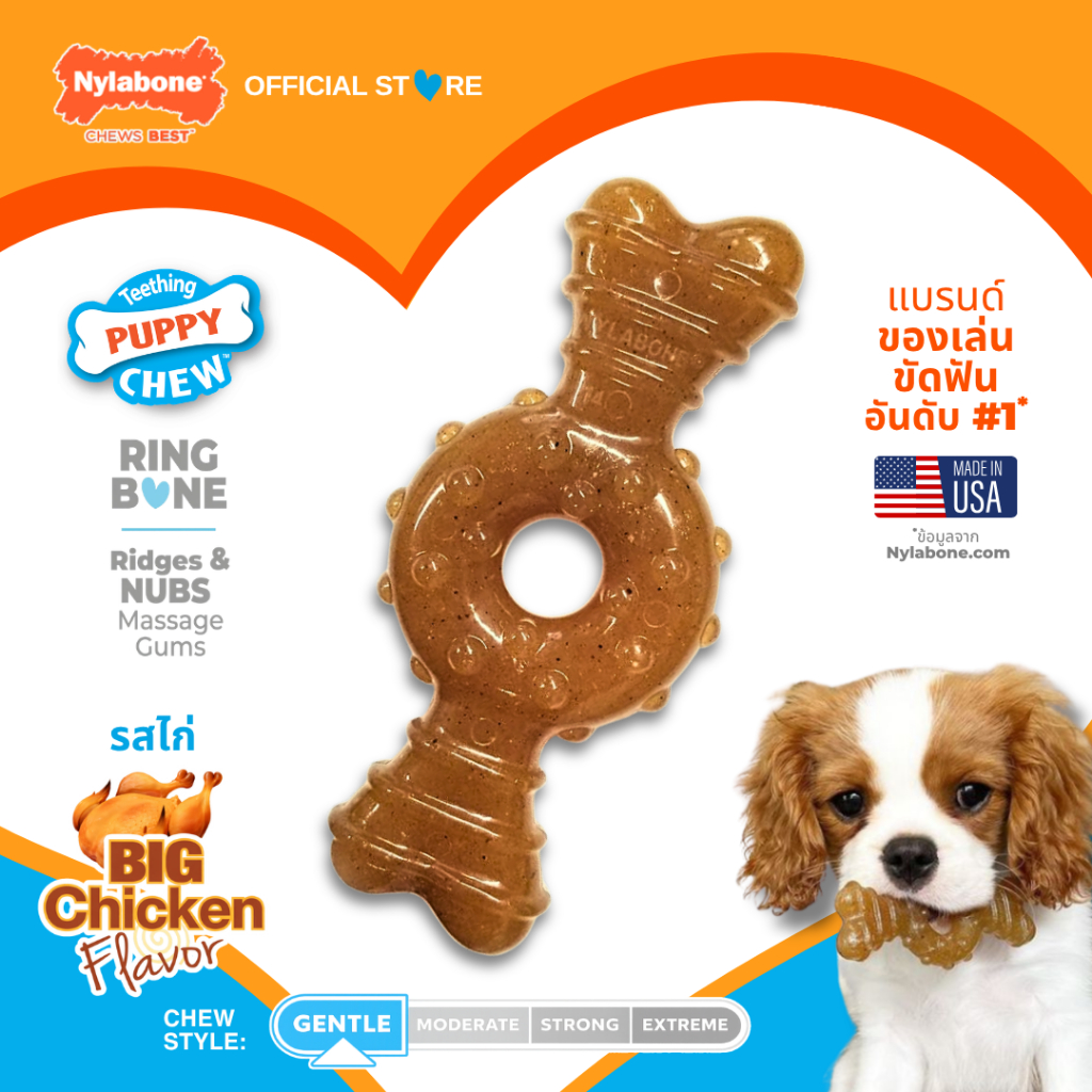 Nylabone Puppy Chew Teething Ring Bone Chew Toy BIG Chicken Flavor ของเล่นขัดฟันลูกสุนัข เนื้อนุ่ม