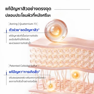 EHD แชมพูสมุนไพร ควบคุมความมัน ลดสิวหนังศีรษะ Scalp Care Shampoo ใช้ได้ทุกวัน 500ml.