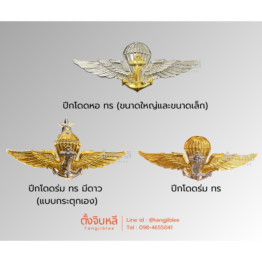 ปีกโดดหอ/ร่ม ทหารเรือ (กองทัพเรือ)