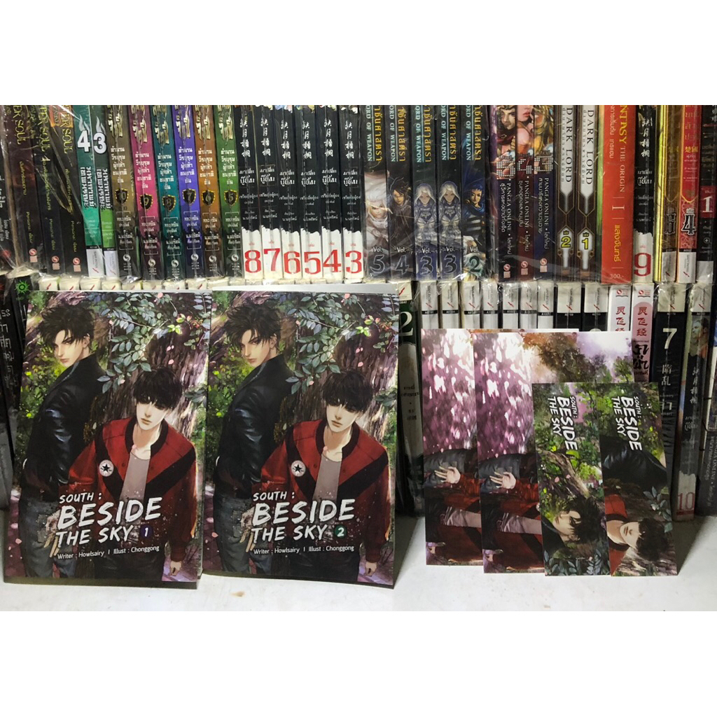 South: Beside the Sky (ต้นฟ้าไต้ฝุ่น)  มือสอง