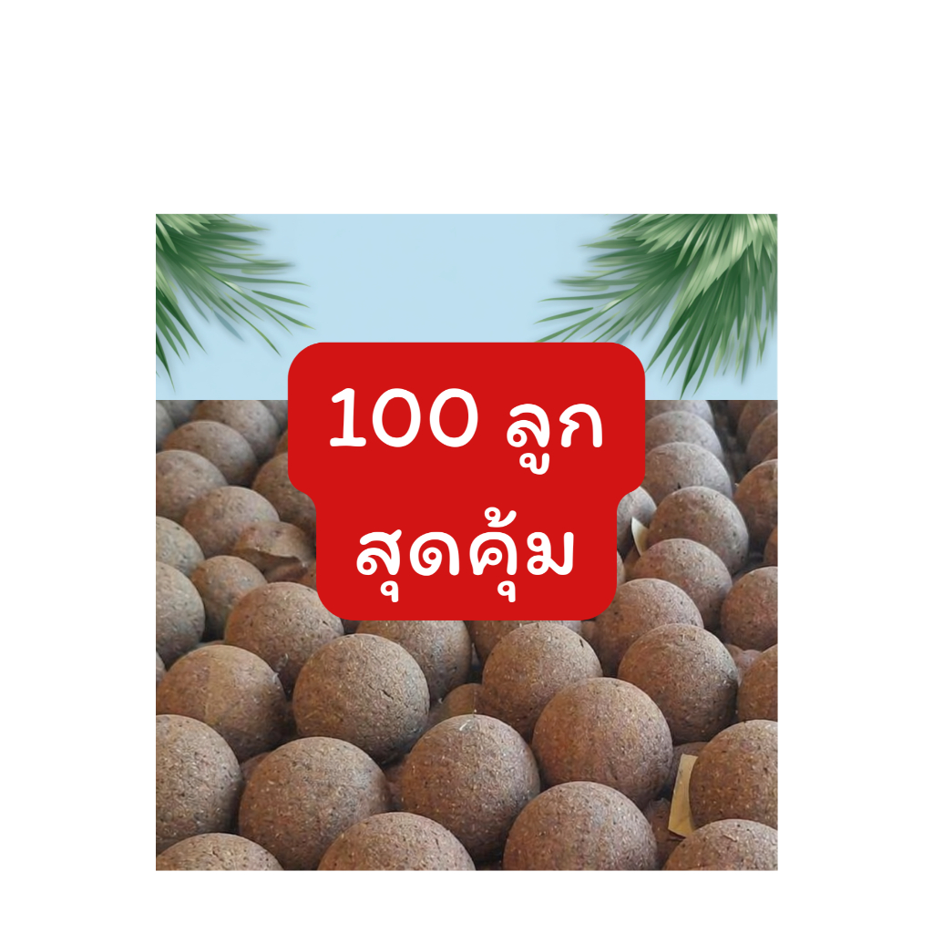 EM Ball อีเอ็มบอล 100 ลูก บำบัดน้ำเสีย ลดกลิ่นทันที ปรับสภาพน้ำ ย่อยสลายของเสีย ตะกอน ไขมัน น้ำใสขึ้