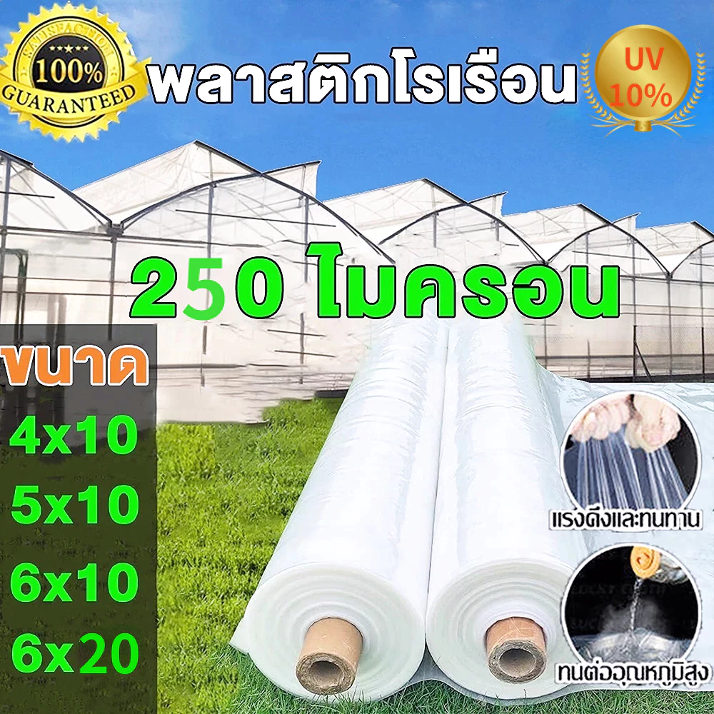 พลาสติกโรงเรือน พลาสติกใส ความหนา250 ไมครอน UV10% Green House พลาสติกคลุมโรงเรือน