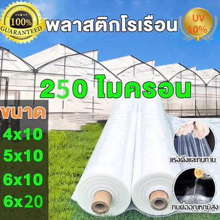 พลาสติกโรงเรือน พลาสติกใส ความหนา250 ไมครอน UV10% Green House พลาสติกคลุมโรงเรือน