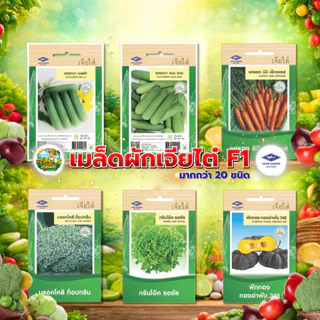 รวมผักเจียไต๋ ผักซองอีซี่ F1 ผักซอง 40 กว่าชนิด เมล็ดพันธุ์คุณภาพดี ปลูกง่าย โตไว #เจียไต๋