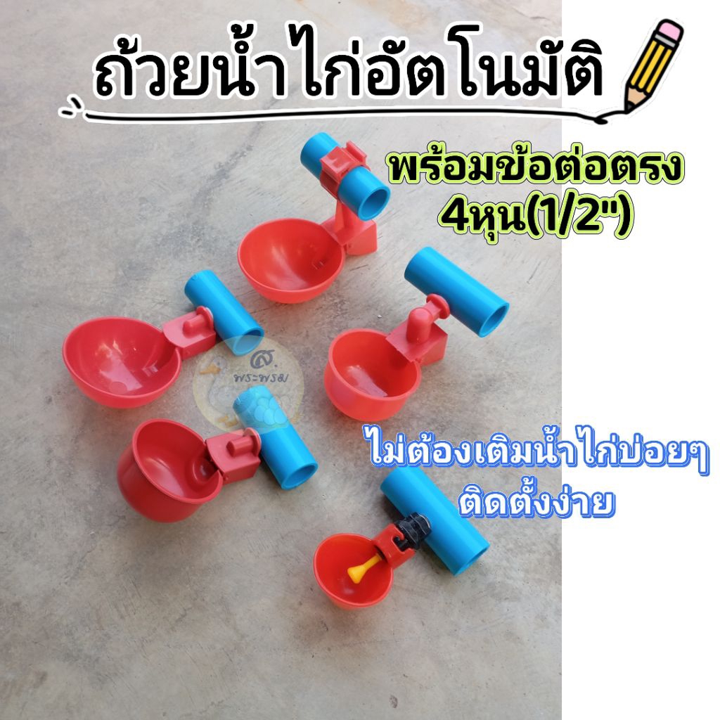 ถ้วยให้น้ำไก่อัตโนมัติพร้อมข้อต่อตรง4หุน ติดตั้งง่าย