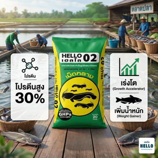 Hello เฮลโล อาหารปลาดุก 01 03 04 TTR803 25.5% อาหารปลากินพืช ขนาด 20 kg.