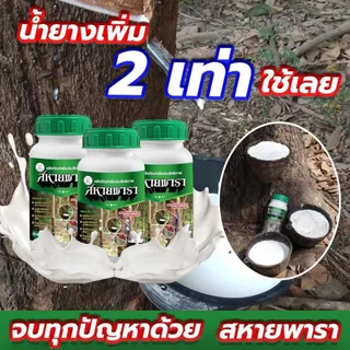 สหายพารา 1 ขวด (500 ml) ทาหน้ายาง เพิ่มน้ำยาง เปลือกนิ่ม กรีดง่าย (ทาได้ 500 ต้น)