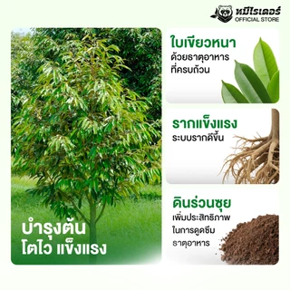 [50kg.] เร่งใบ ฟื้นต้นใหม่ 6-3-3 หมีไรเดอร์ ปุ๋ยอินทรีย์เคมี