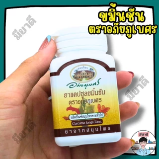 ขมิ้นชัน บัวบก รางจืด เพชรสังฆาต ตราอภัยภูเบศร ยาสามัญประจำบ้าน