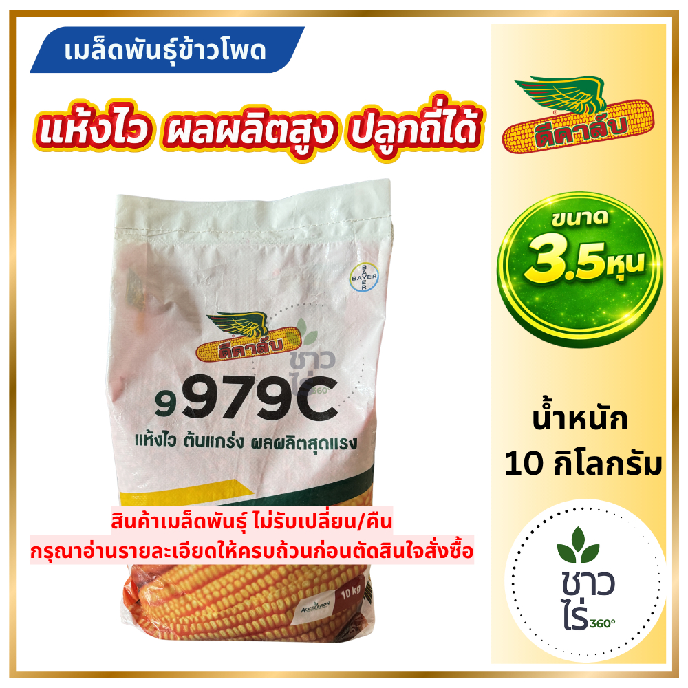 [หมดอายุ 2570] เมล็ดพันธุ์ข้าวโพด ดีคาล์บ 9979c ขนาด 3.5 หุน เม็ดกลาง แข็งแรง ยืนต้น ทนฝนทนแดด ผลผลิ