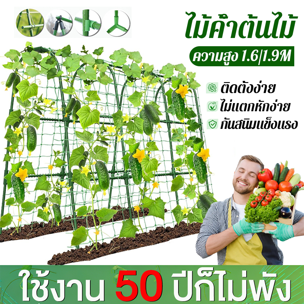 Sam's ไม้ค้ำต้นไม้ DIY ยาว90-180ซม. หนา11/16มม. โครงปลูกผัก เหล็กเคลือบพลาส ค้างไม้เลื้อย ตาข่ายไม้