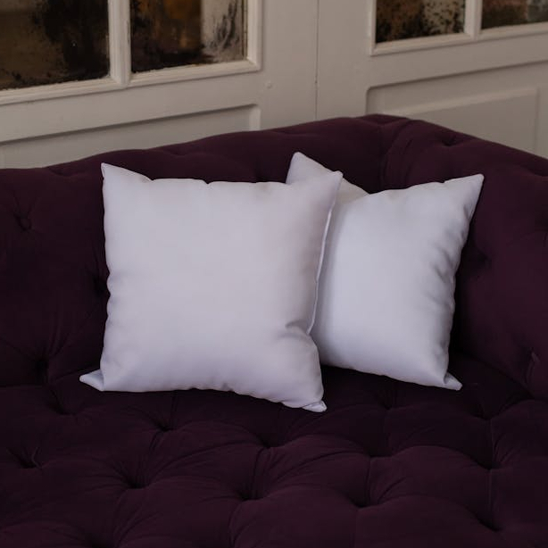 Sofa Couch Throw Pillow Without Cover