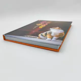หนังสือปกแข็ง พิมพ์สี “แมวหลวงแห่งกู้กง“ (เล่มเดียวจบ) - Hongsamut