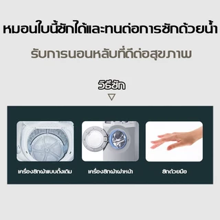 หมอน หมอนสุขภาพ หมอนโรงแรม หมอนหนุนใบใหญ่ เสริมคอ หมอนนุ่ม ทนกันไรฝุ่นนอนสบาย หมอนนอน