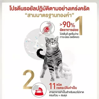 อาหารแมวโตเลี้ยงปล่อย ชนิดเม็ด (FIT) อาหารเม็ด สำหรับแมวโต เลี้ยงปล่อย อายุ 1 ปีขึ้นไป 400g/2kg.