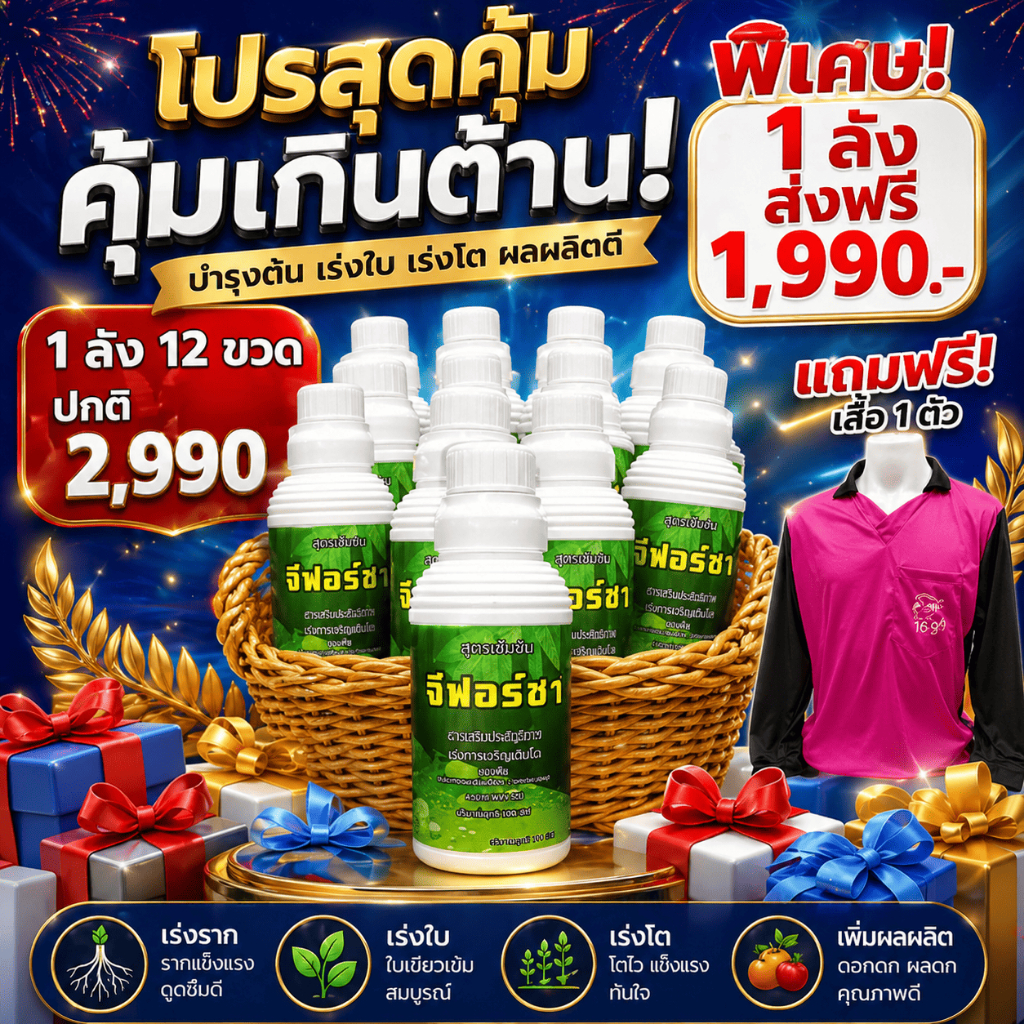 จีฟอร์ซวัน (ยกลัง12ขวด ) ขนาด1ลิตร แถมเสื้อ  จับใบ ซึมไว ติดทน ไม่มีซิลิโคน ไม่มีแอลกอฮ0ล์ 1ลิตร