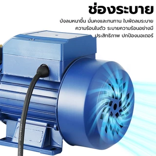 ปั๊มน้ำทรงหน้าหมู ปั๊มน้ำหอยโข่ง ปั้มน้ำแรงดัน ปั้มน้ำ 650W ปั้มน้ำไฟฟ้า ปั้มน้ำอัตมัติ ขนาด คอล์ยทองแดงแท้ ทนทาน