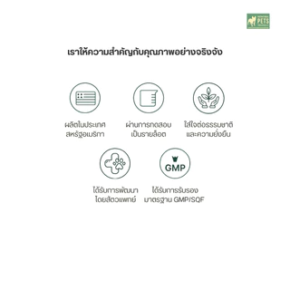 Skin Soother บาล์มบำรุงผิวสุนัข ขนาด 59.15ml | แก้คัน รอยแดง ผื่นแพ้ เลียเท้า | ปลอดภัย อ่อนโยน | Natural Dog Company