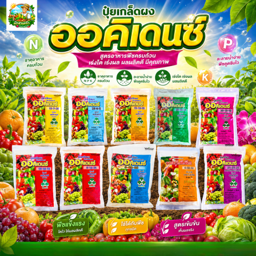 รวมปุ๋ยเกล็ดชนิดผง ออคิเดนซ์ รวม10 สูตร ละลายน้ำ บำรุงต้น ผล