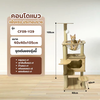 [ส่งไว/มีโค้ด] PetParadise คอนโดแมวไม้ รุ่นY36 สูง150cm แคปซูลนอนใส 1 หลุม พร้อมเปลนอน มินิมอล แข็งแรง