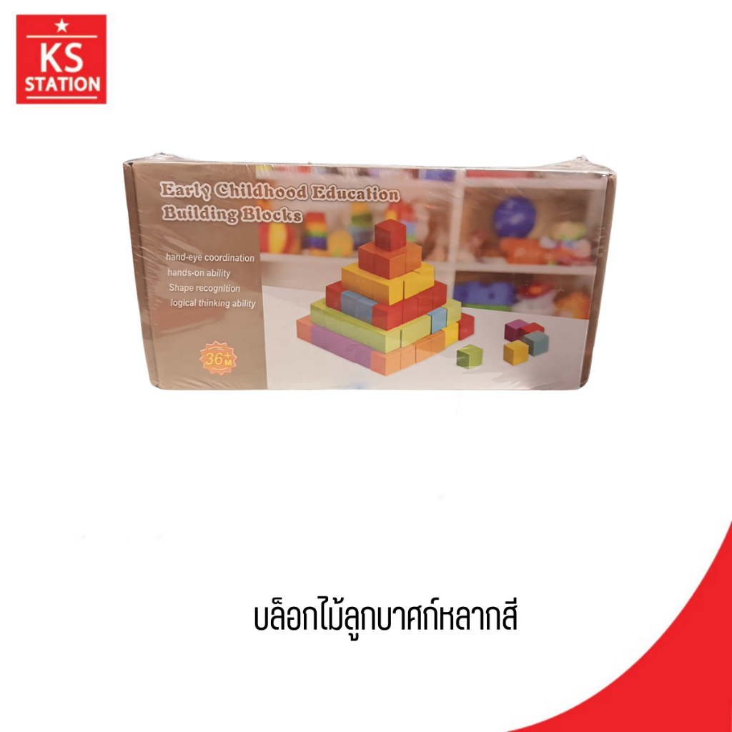 บล็อคไม้หลากสี 100ชิ้น ECE-9032