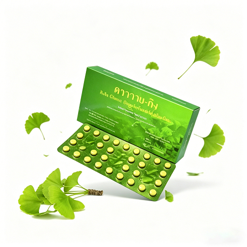 Ginkgo leaf แปะก๊วยวายกิง Y-gink สารสกัดใบแปะก๊วย 1กลอ่ง มี 30 เม็ด
