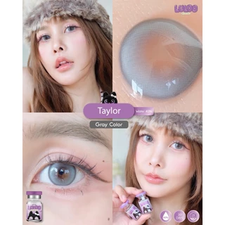 (3แถม1 ต้องกดสั่ง4คู่) คอนแทคเลนส์ Taylor Brown/ Gray/ Black (Luloo Lens) บิ๊กอาย ค่าอมน้ำ 40