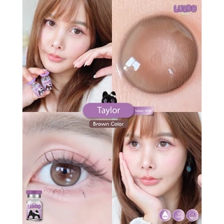 (3แถม1 ต้องกดสั่ง4คู่) คอนแทคเลนส์ Taylor Brown/ Gray/ Black (Luloo Lens) บิ๊กอาย ค่าอมน้ำ 40