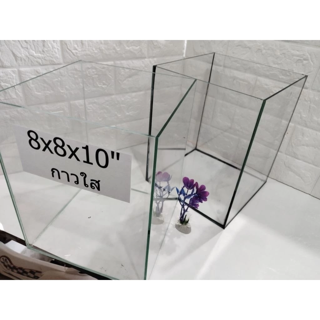 โหลปลากัด 8x8x10 นิ้ว กระจกหนา 3 มิล สำหรับปลากัดและสัตว์เล็ก พร้อมกาวใสและกาวดำ  รับประกันสินค้า thumbnail 7
