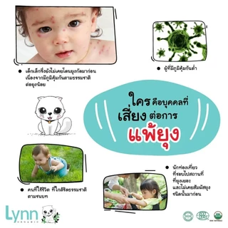 (รางวัลบาล์มแห่งปี2024-25) Lynn Organic บาล์มขนาด 2 กรัม บาล์มลดอักเสบ 3 in 1