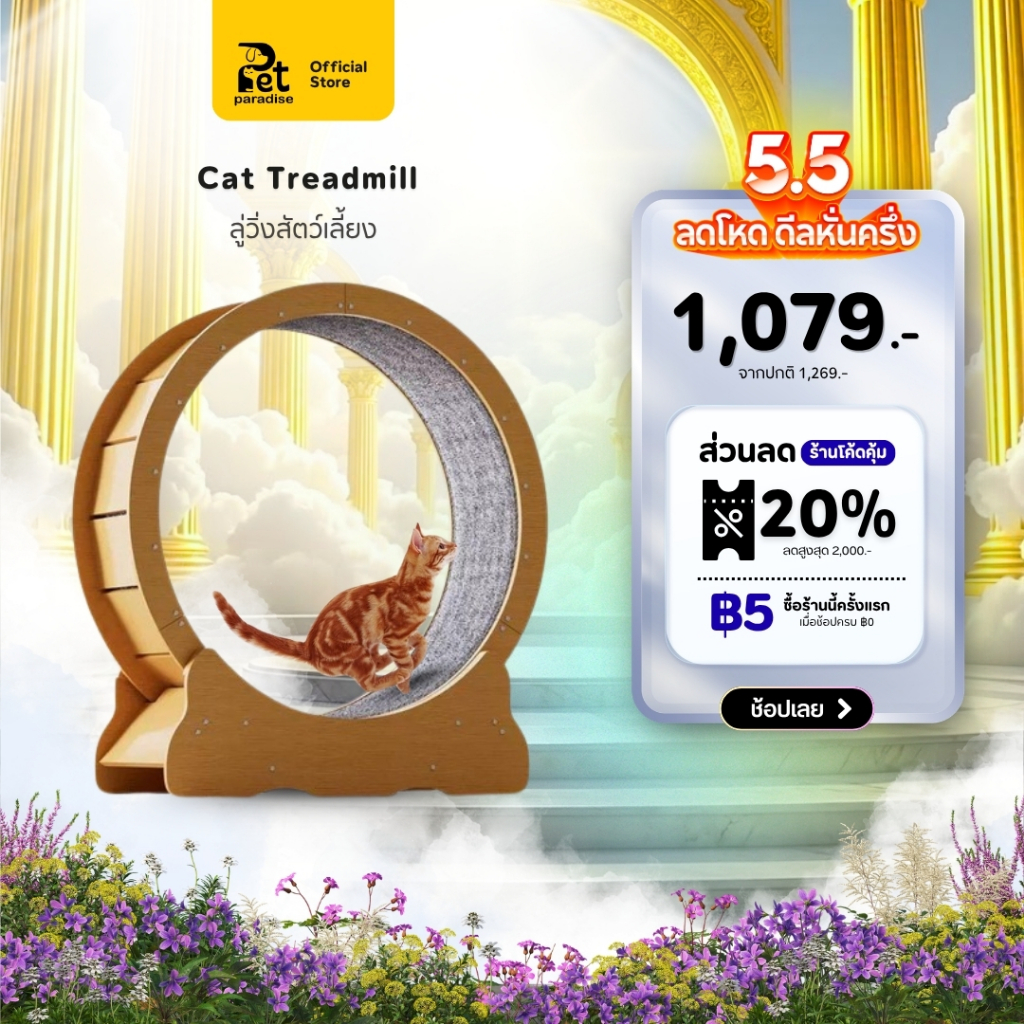 ลู่วิ่งแมว Bratvee.pet อัพเกรดใหม่ เสียงเงียบ ออกกำลังกายเพื่อสุขภาพที่ดี