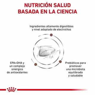 Royal Canin GastroIntestinal Cat 400 กรัม และ 2 kg. อาหารสำหรับแมว ท้องเสีย ถ่ายเหลว