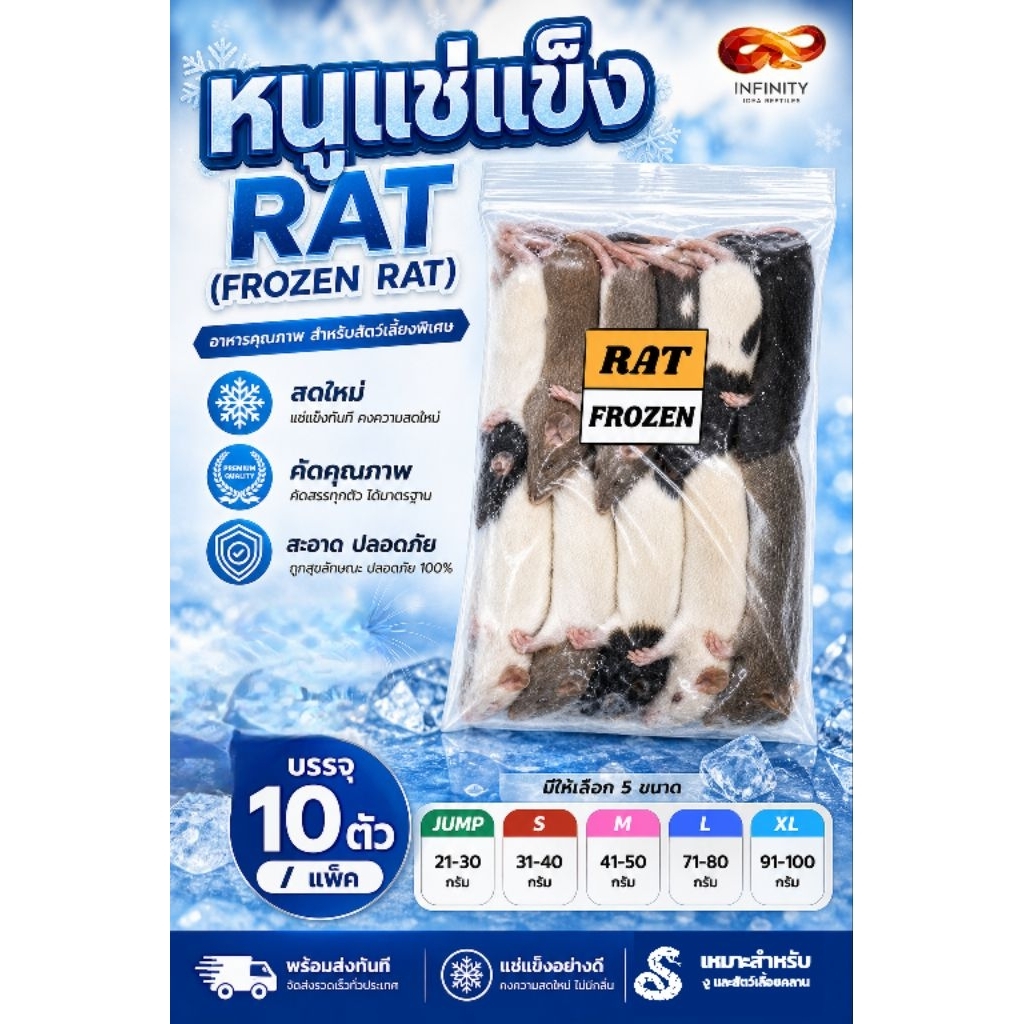 หนูแช่แช็ง RAT อาหารสัตว์เลื้อยคลาน 1 แพ็ค บรรจุ 10 ตัว จัดส่งด่วนภายในวัน