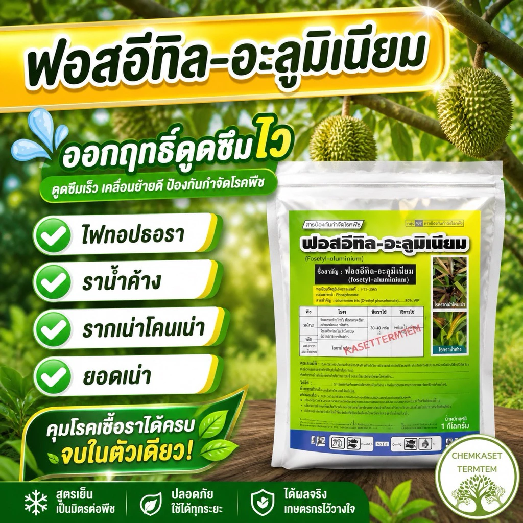 ฟอสอีทิล 80% ตราซิกซ์ตี้ซิกซ์ โรครากเน่าโคนเน่า ผลเน่า โรคไฟท็อปธอร่า โรคราน้ำค้าง โรคราแป้ง