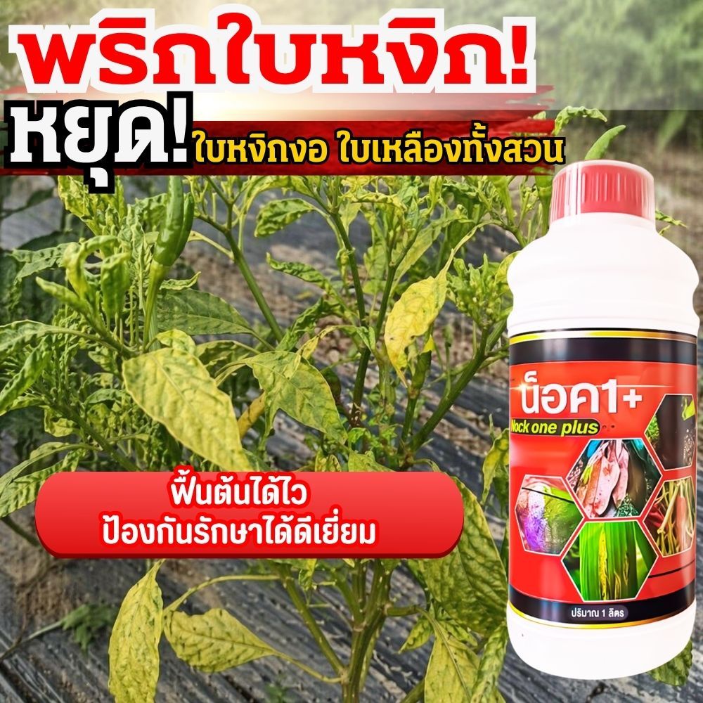 สูตรแก้โรคใบหงิกเหลือง ใบด่าง รากเน่าโคนเน่าในพืช ราแป้งและแอนแทรคโนส ควบคุมโรค ฟื้นฟูต้น